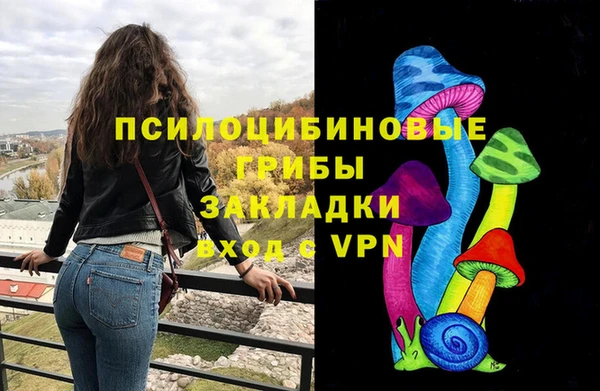 spice Володарск