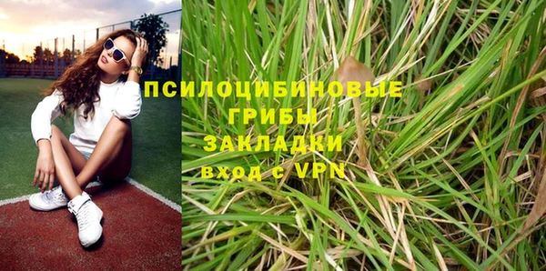 spice Володарск