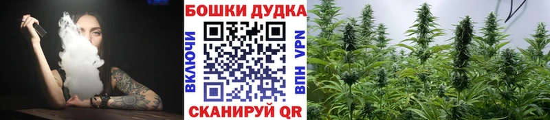 наркошоп  Вытегра  Шишки марихуана гибрид 