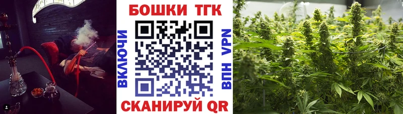 МАРИХУАНА конопля Вытегра